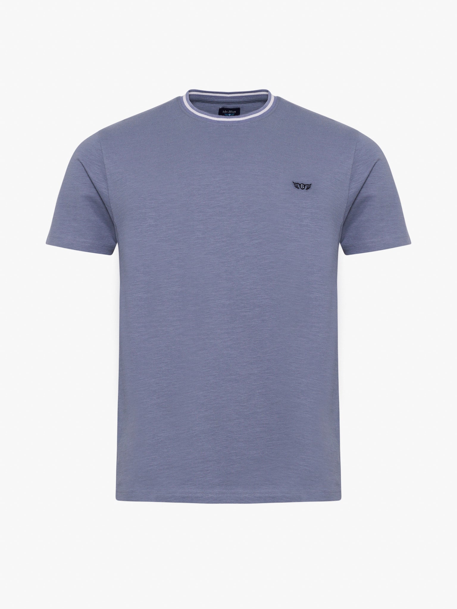 CAMISETA ALGODÓN AZUL MANGA CORTA REGULAR FIT MR. AZUL