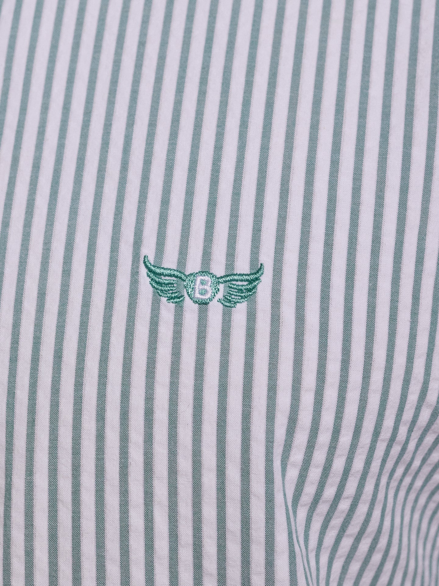 Camisa Algodão Verde Regular Fit Mr. Blue