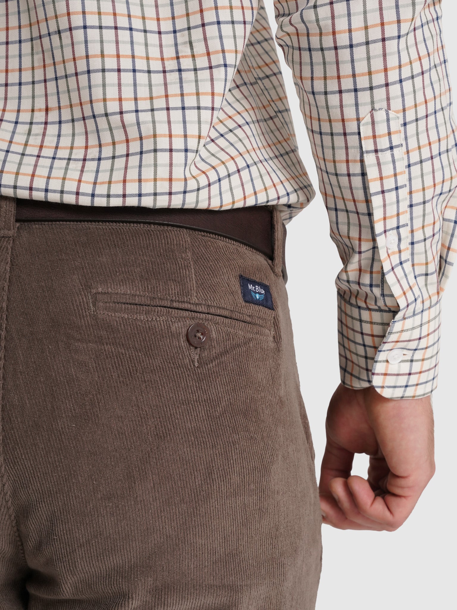 CALÇAS ALGODÃO CASTANHAS CLASSIC FIT MR. BLUE