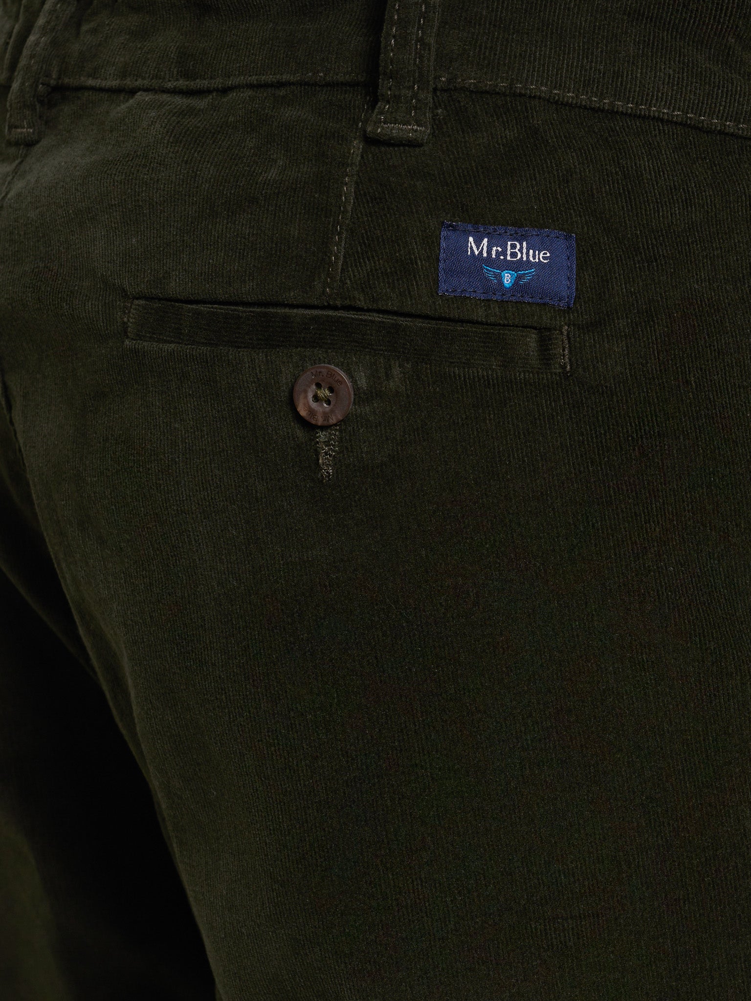 CALÇAS ALGODÃO VERDES CLASSIC FIT MR. BLUE