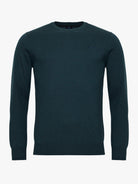 JERSEY FINO VERDE MANGA LARGA AJUSTE REGULAR MR. AZUL