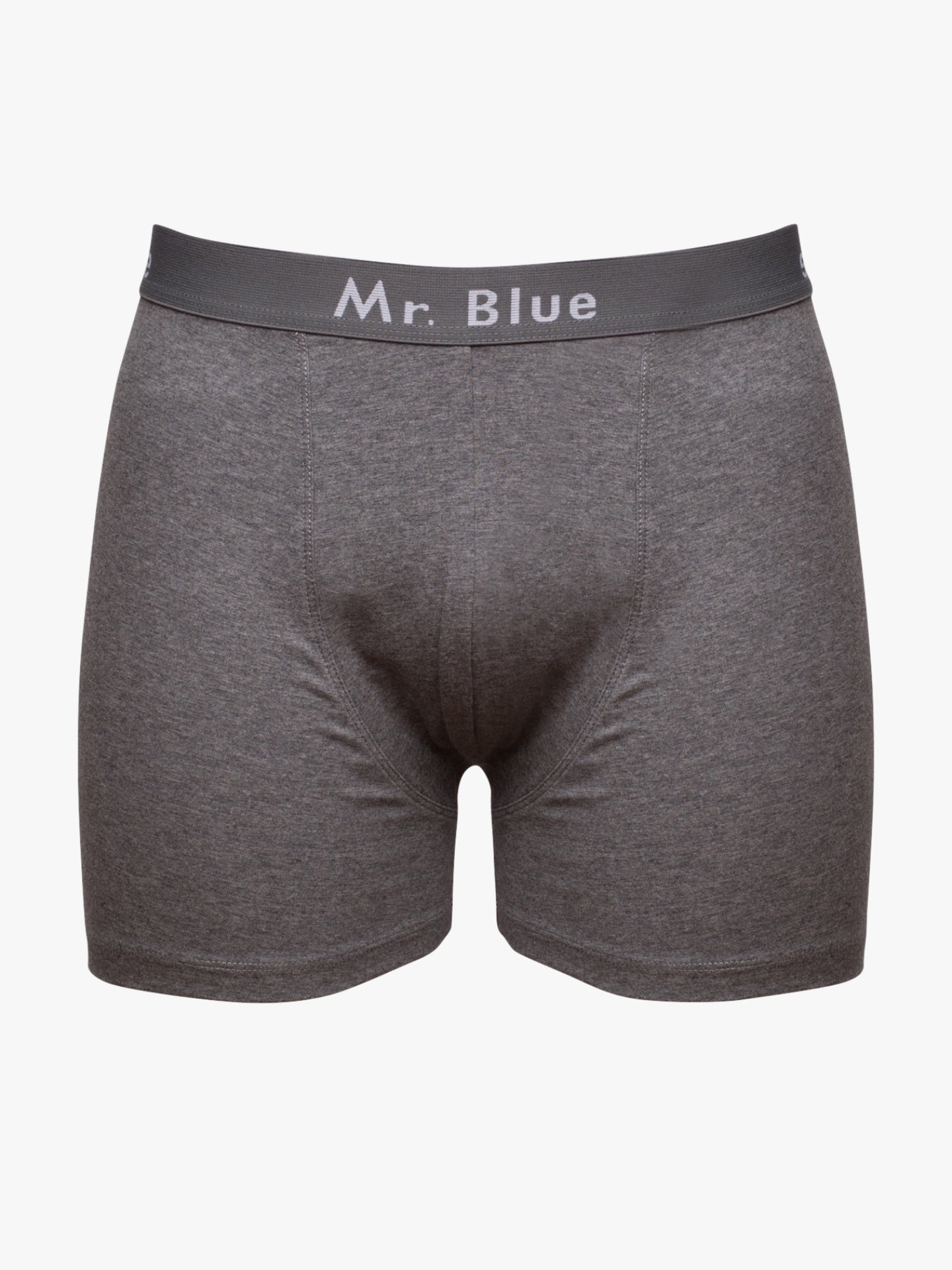 BOXER AZUIS REGULAR FIT MR. BLUE