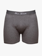 BOXER AZUIS REGULAR FIT MR. BLUE