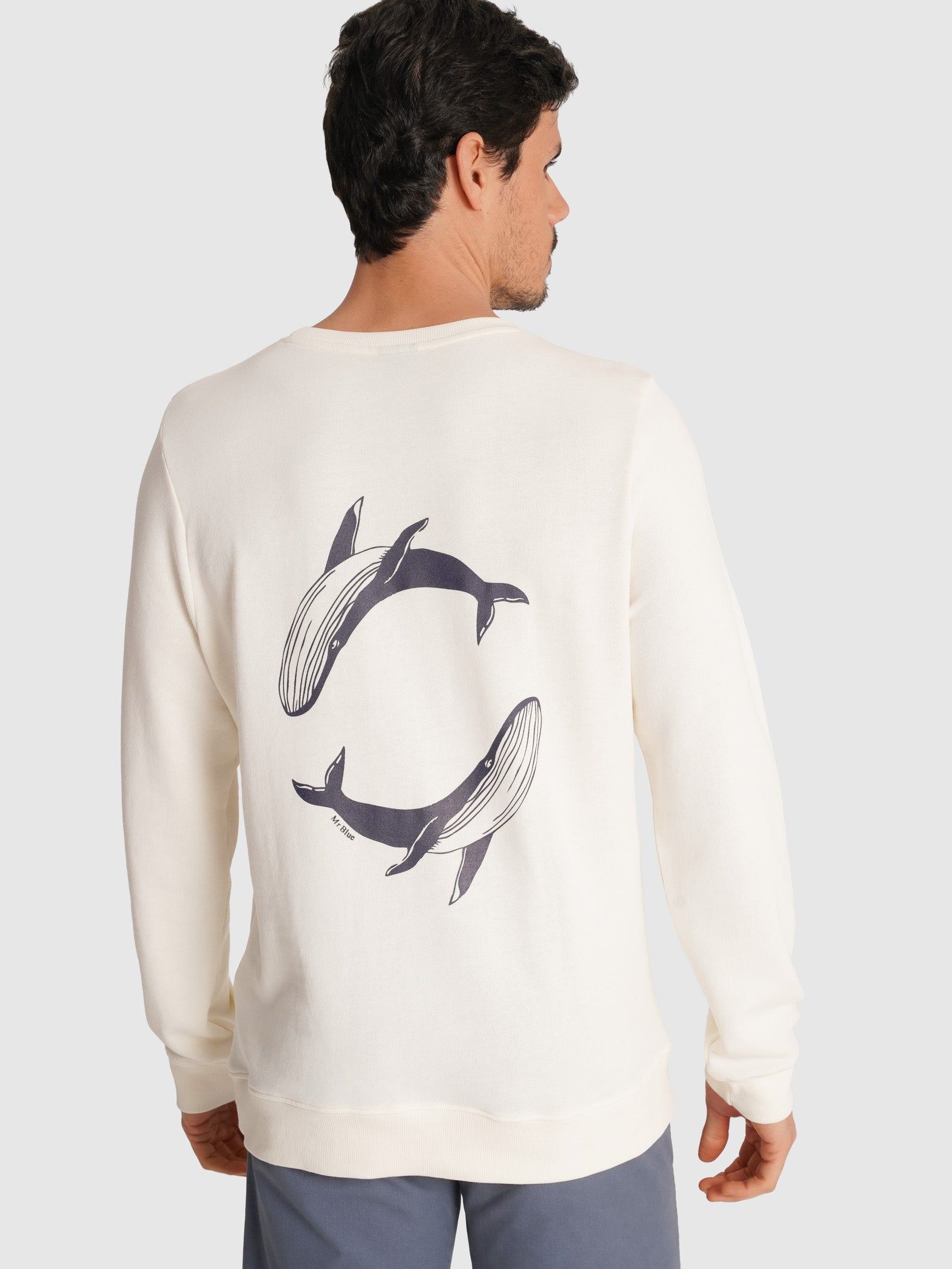 HOODIE CRU REGULAR FIT MR. BLUE