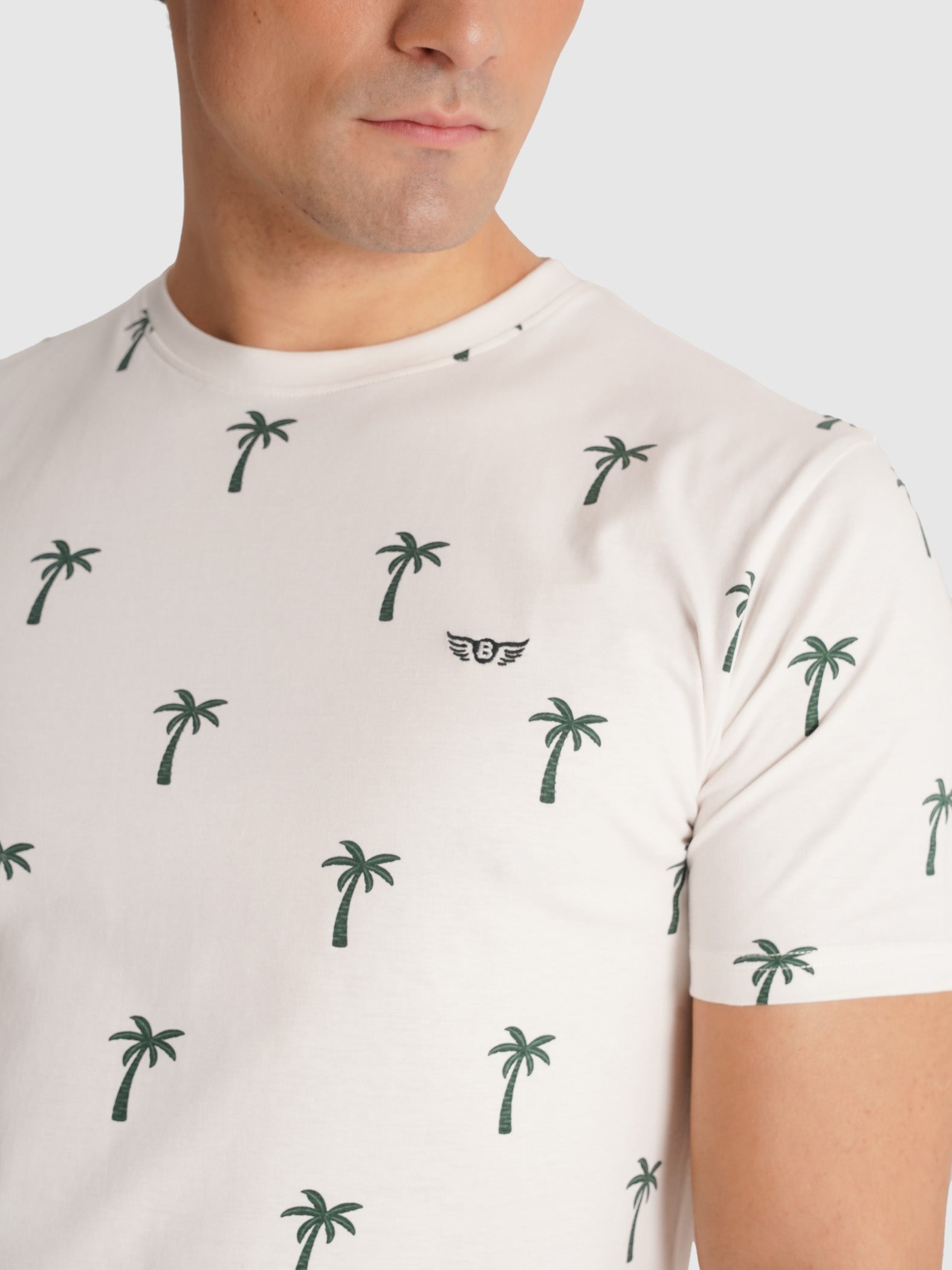 T-SHIRT CRU MANGA CURTA REGULAR FIT MR. BLUE