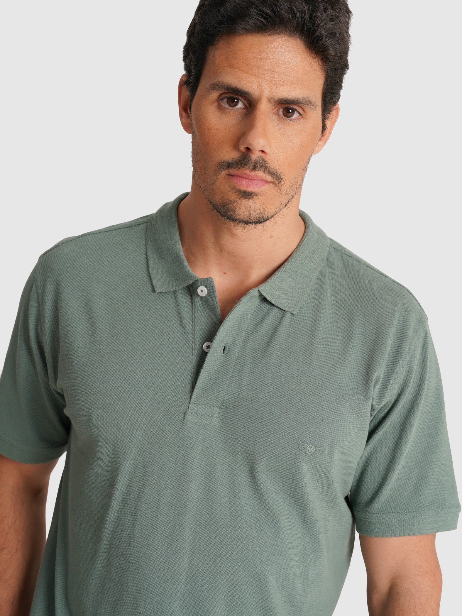 POLO PIQUET VERDE MANGA CURTA TAILORED FIT MR. BLUE